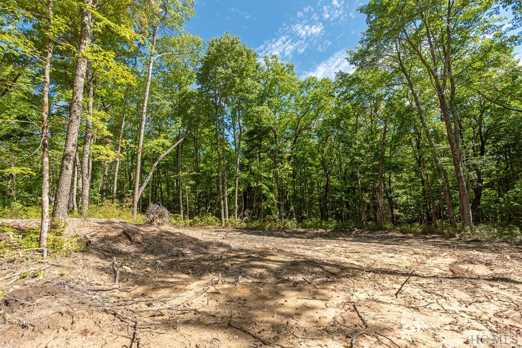 Lot V1 East Ridge Road Sapphire, NC 28774 - Photo 25 of 35 Gallery Image 25