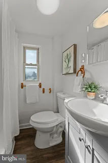 a bathroom with a sink and a toilet