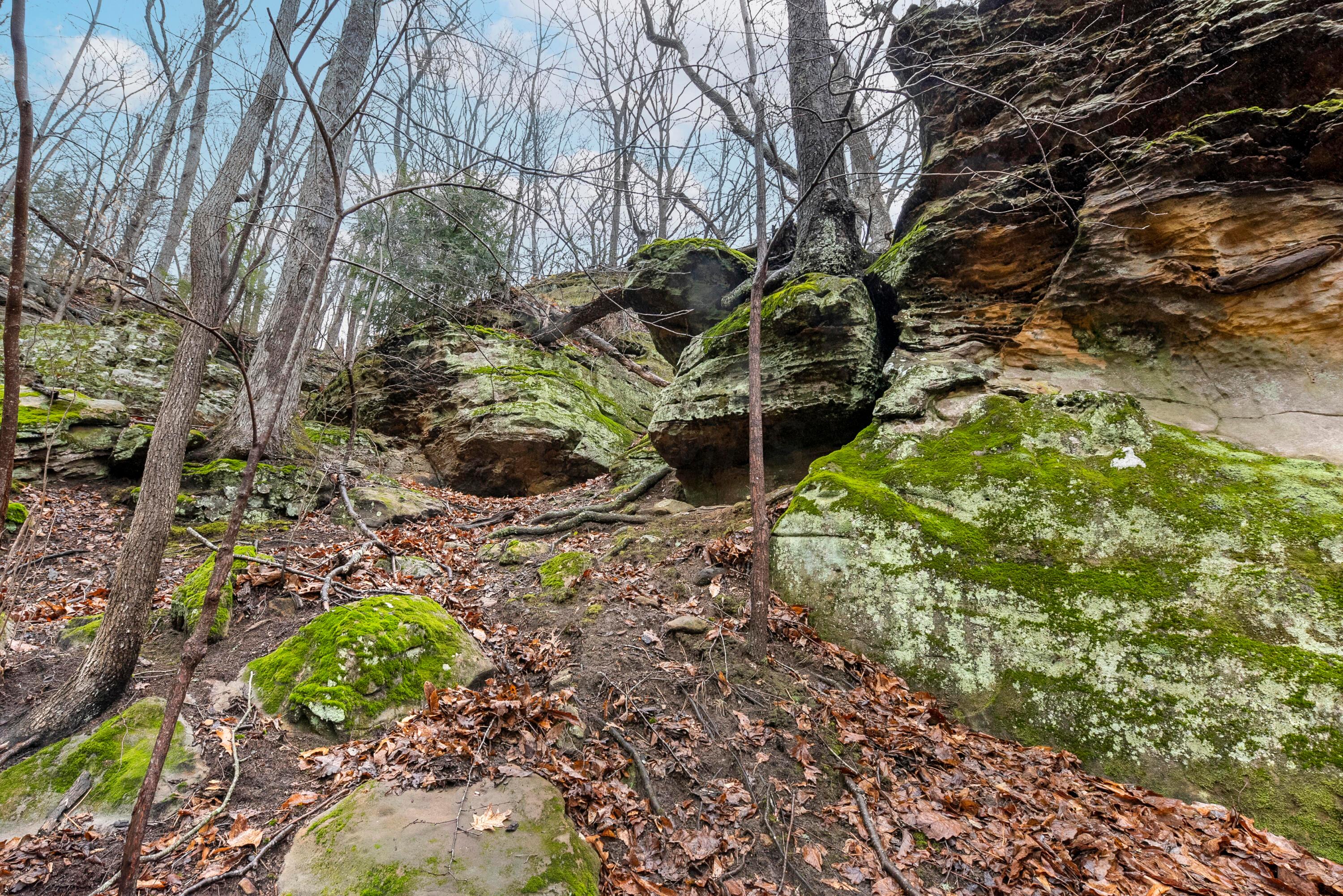 25823 Rockview Road Rockbridge, OH 43149 - Photo 56 of 75 Wooded Lot