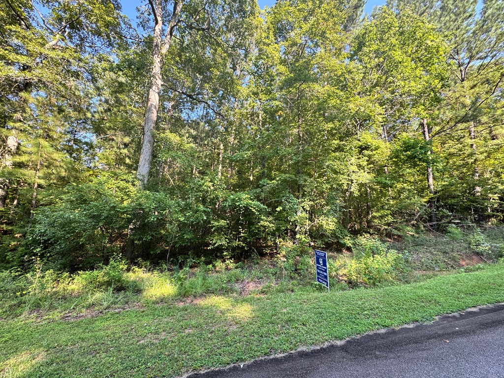 Lot 28 Savior Lane Hamilton, GA 31811 - Photo 3 of 3
