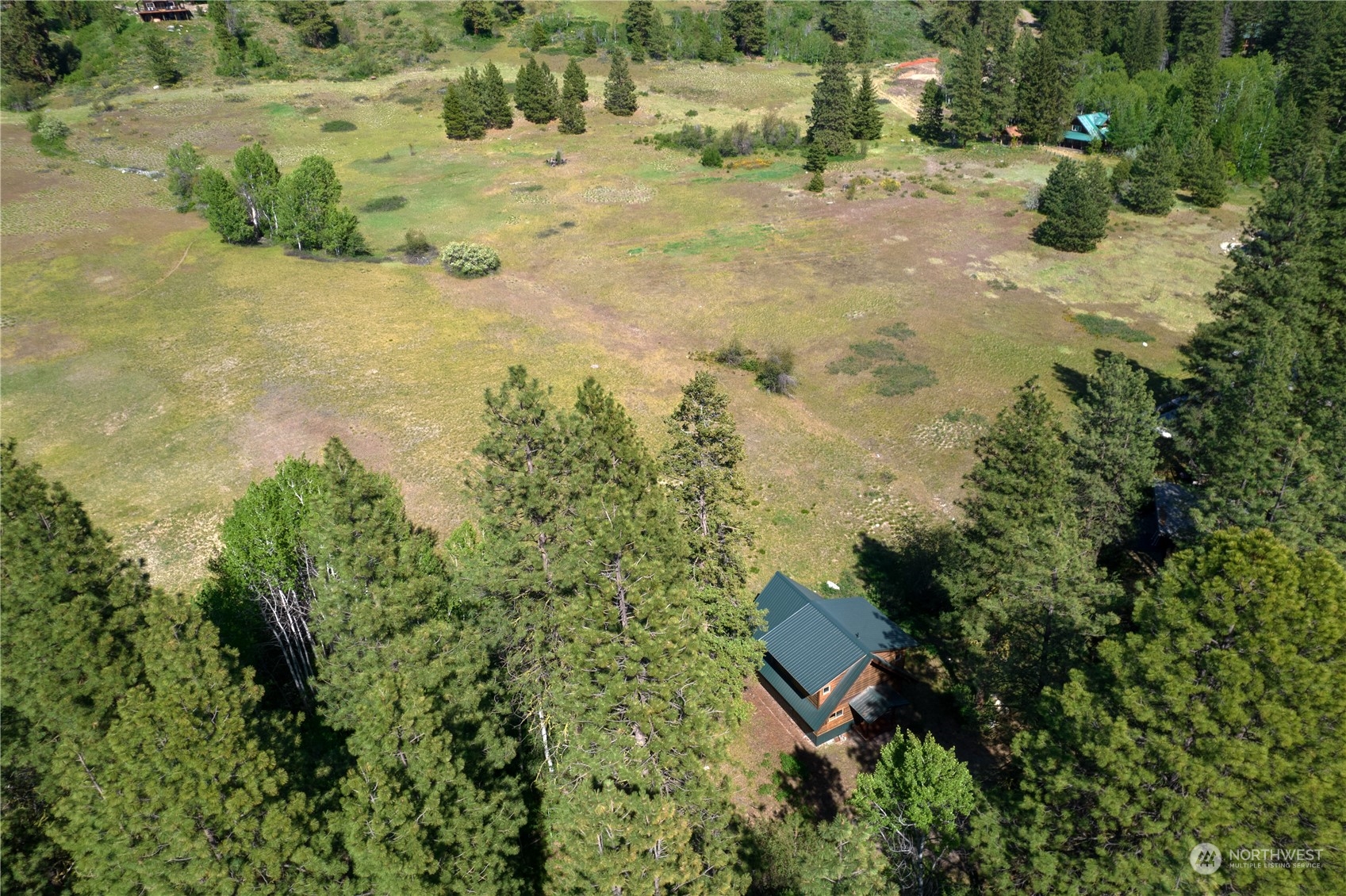 81 Homestead Road Winthrop, WA 98862 - Photo 10 of 39 a view of a yard with trees