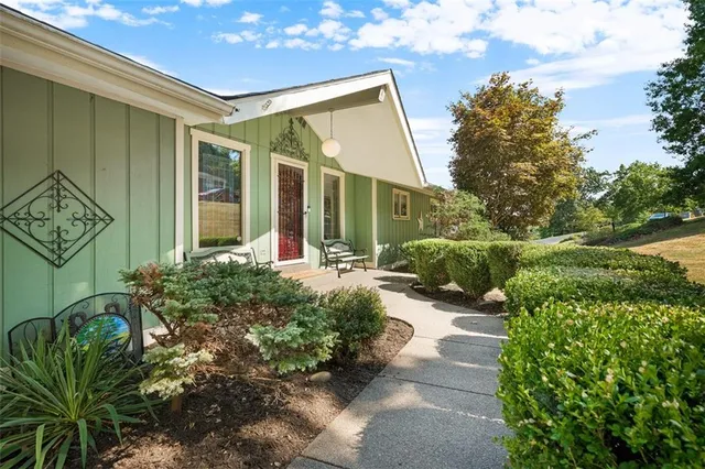 a view of a back yard with potted plants