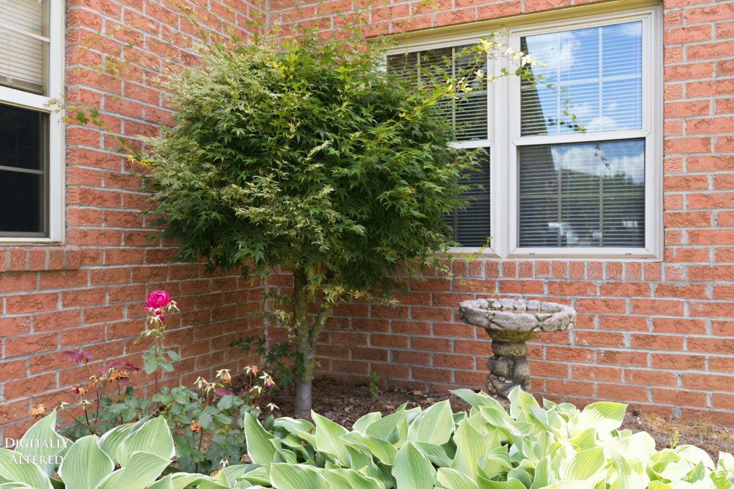 10506 West Road, Unit 42 Harrison, OH 45030 - Photo 39 of 52