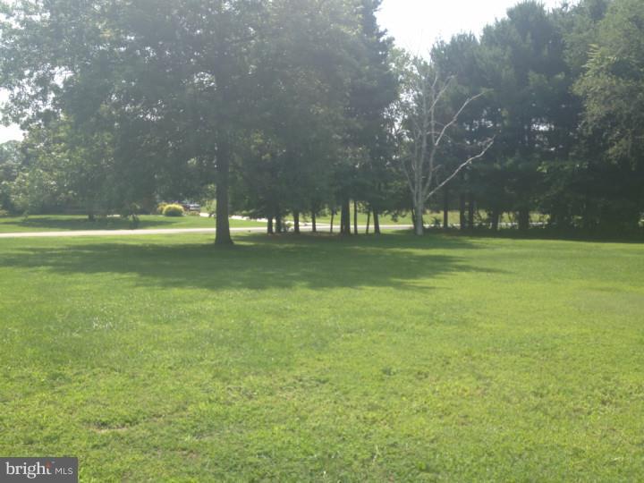 50 West Tomlin Station Road Mickleton, NJ 08056 - Photo 3 of 21