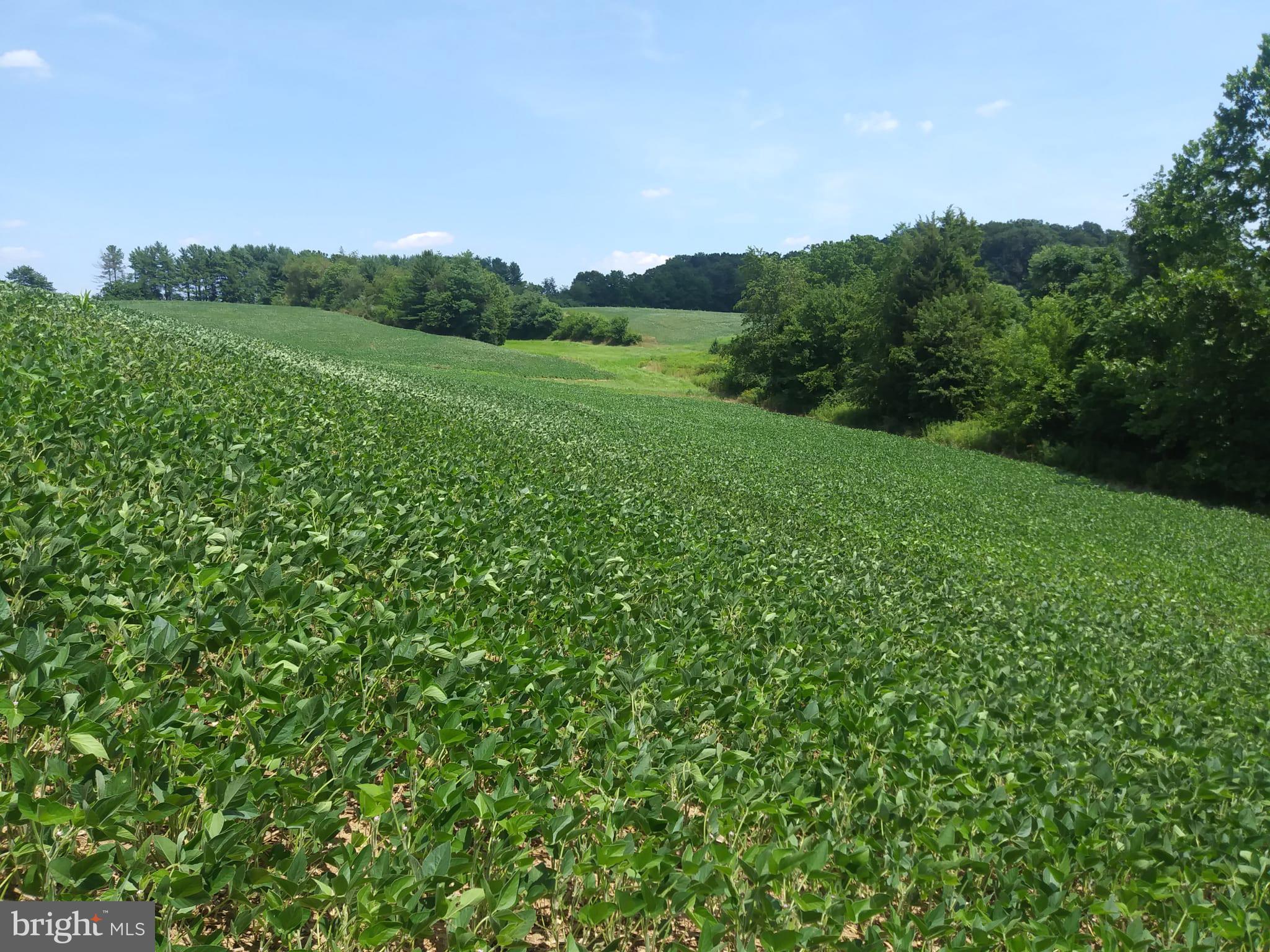 1529 Stone Road Westminster, MD 21158 - Photo 11 of 13