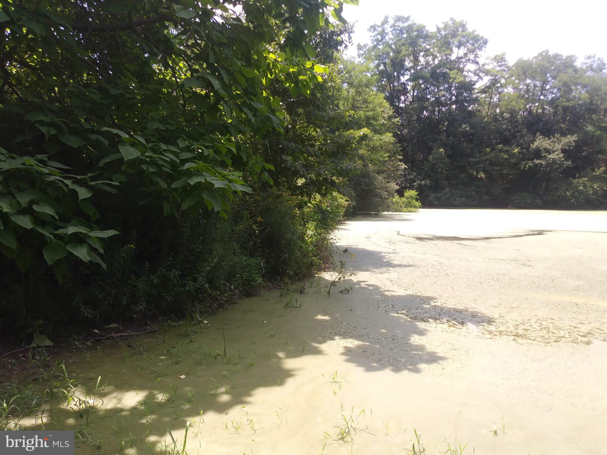 1529 Stone Road Westminster, MD 21158 - Photo 7 of 13