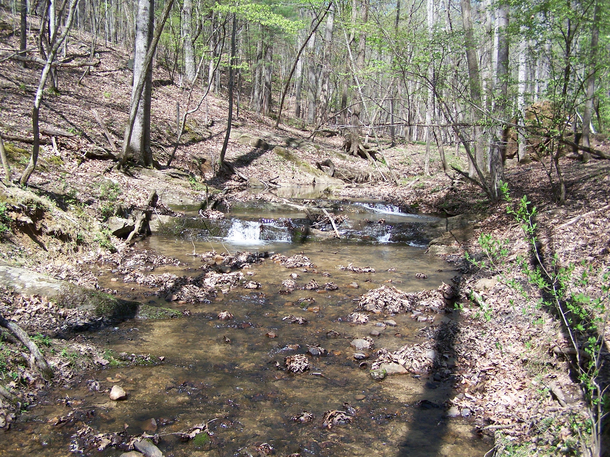 0 Pike Road Blue Ridge, VA 24064 - Photo 13 of 37 a view of water tree