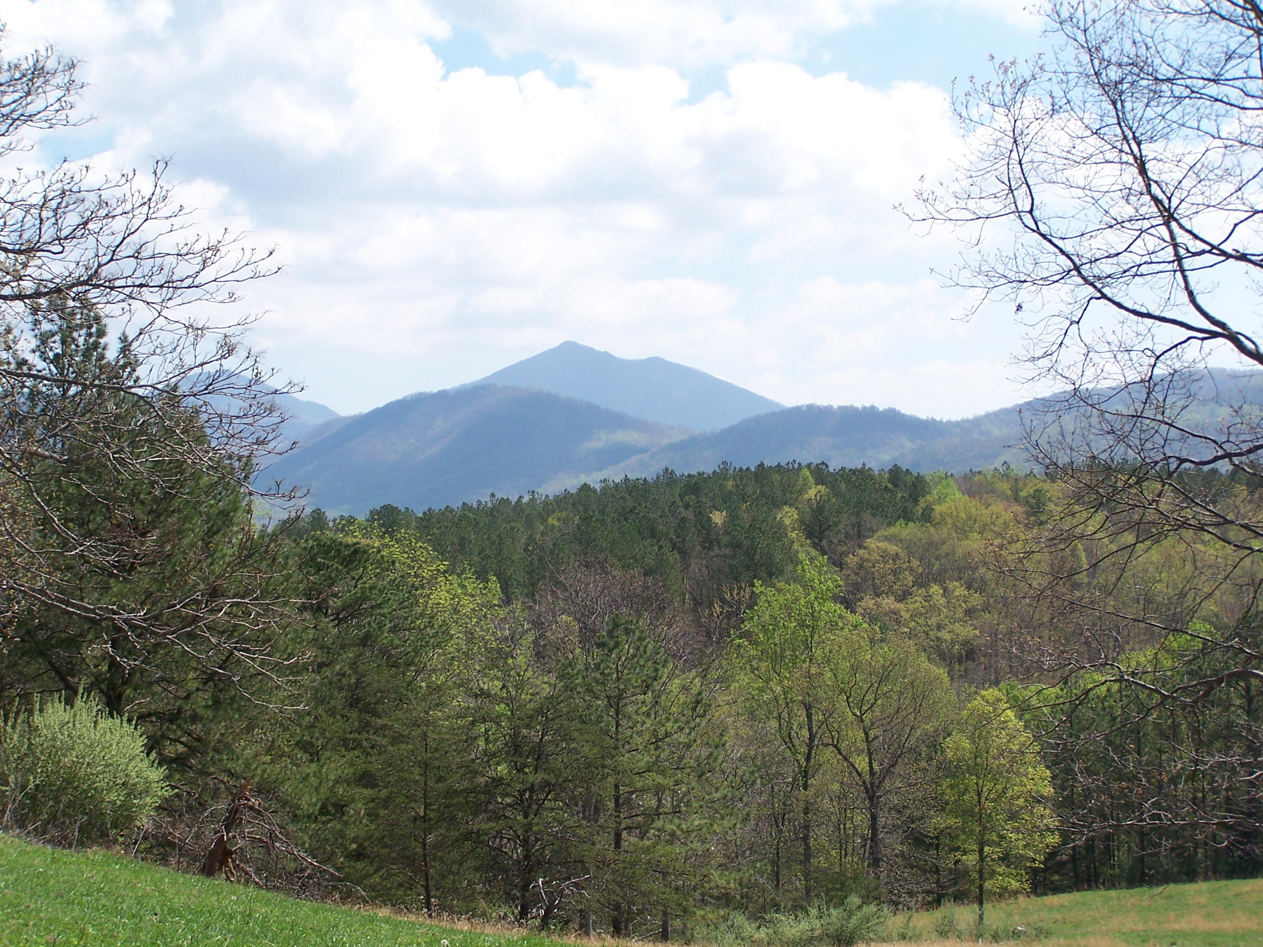 0 Pike Road Blue Ridge, VA 24064 - Photo 15 of 37 a view of mountains and valleys