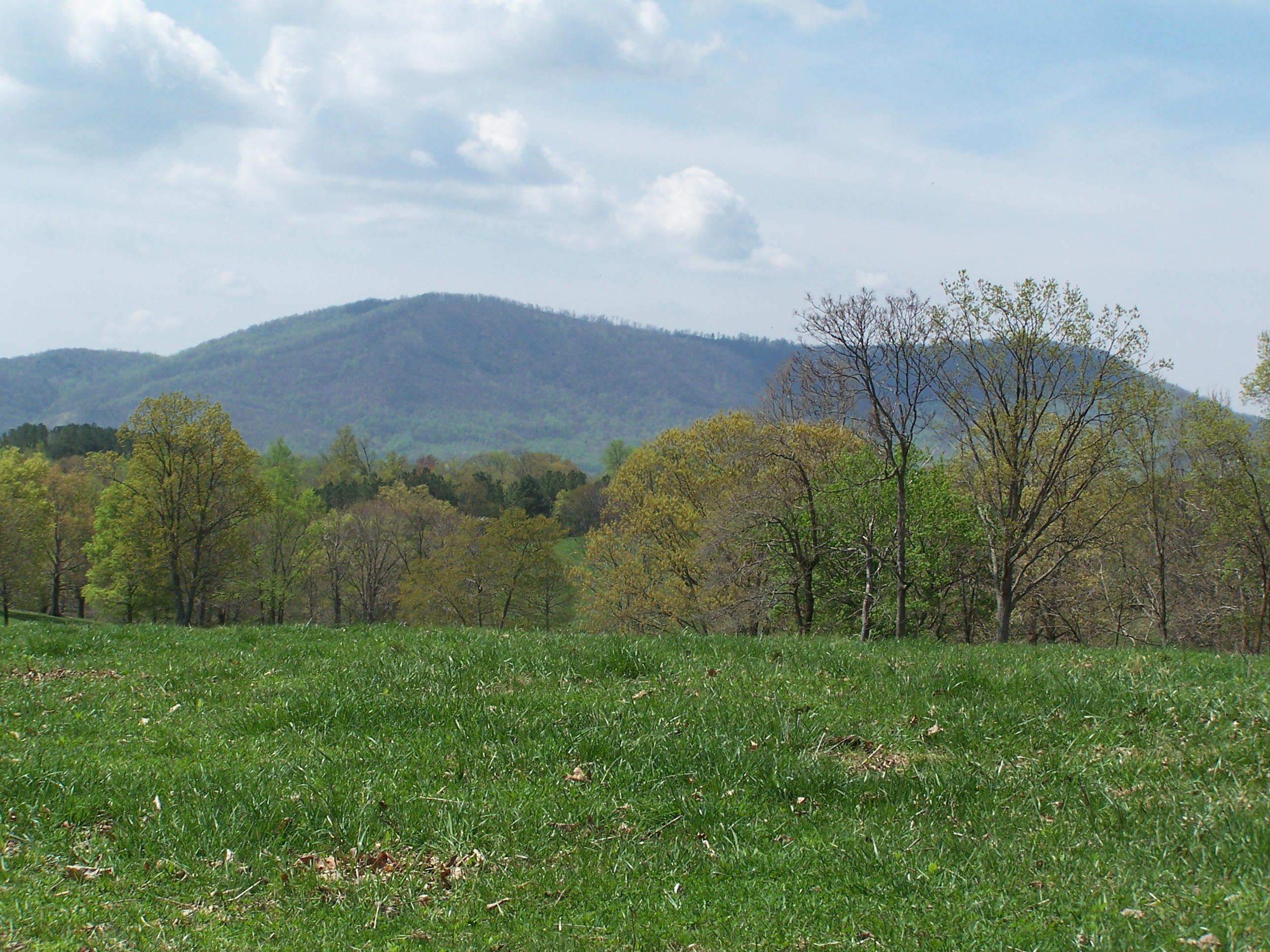 0 Pike Road Blue Ridge, VA 24064 - Photo 16 of 37 a view of outdoor space and mountain view