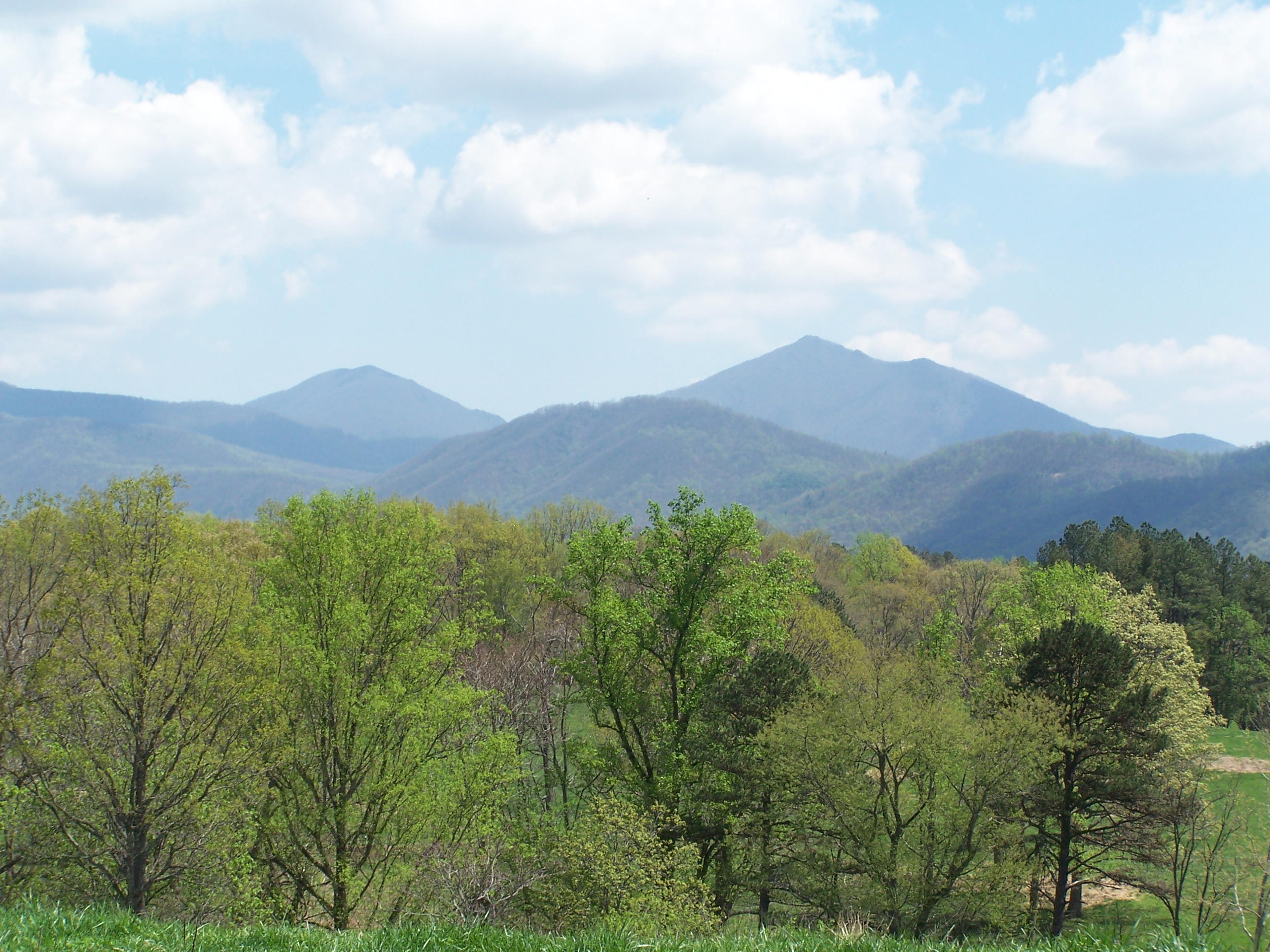 0 Pike Road Blue Ridge, VA 24064 - Photo 2 of 37 a view of a lush green hillside and a houses