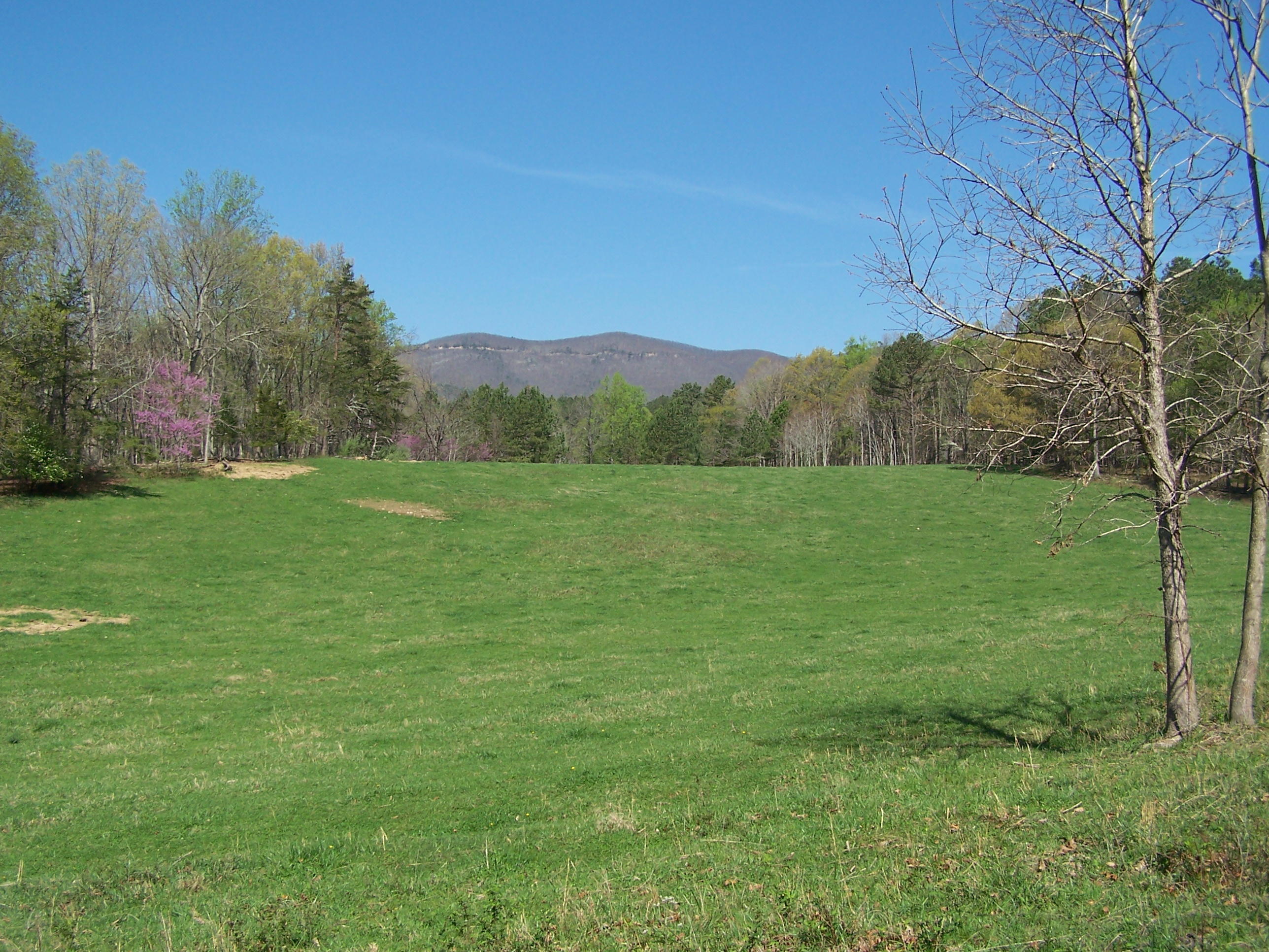 0 Pike Road Blue Ridge, VA 24064 - Photo 21 of 37 a view of an outdoor space and a yard