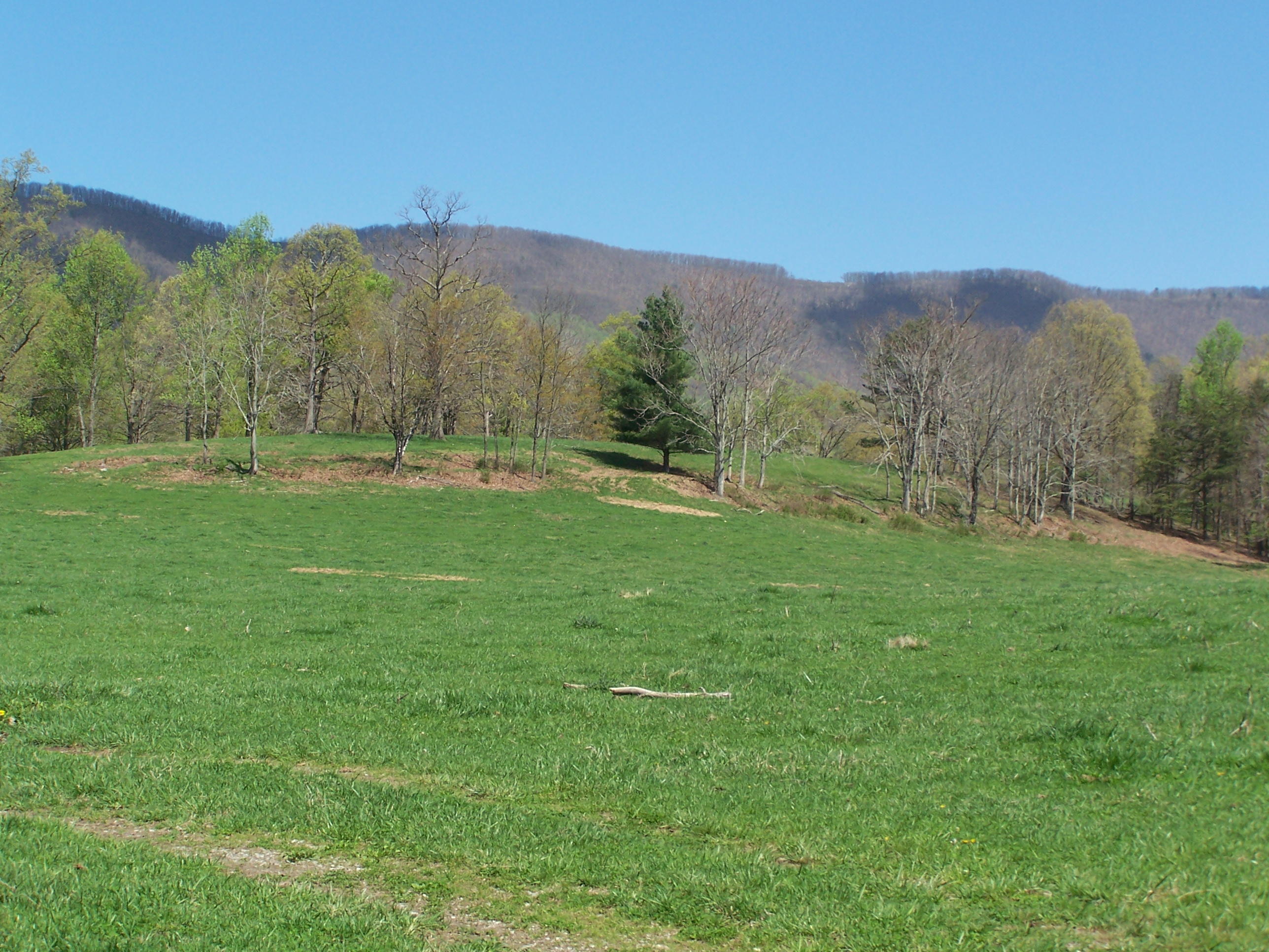 0 Pike Road Blue Ridge, VA 24064 - Photo 24 of 37 a view of a lush green outdoor space with a mountain