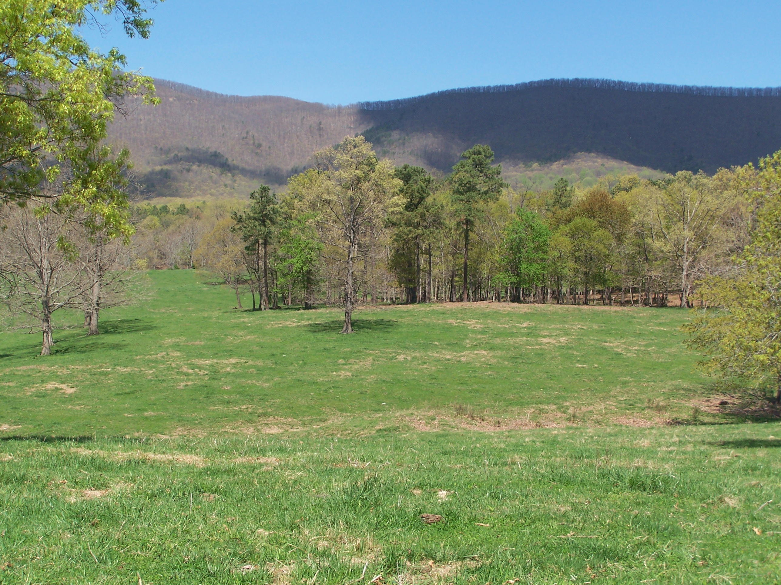 0 Pike Road Blue Ridge, VA 24064 - Photo 27 of 37 a view of a lush green hillside and houses