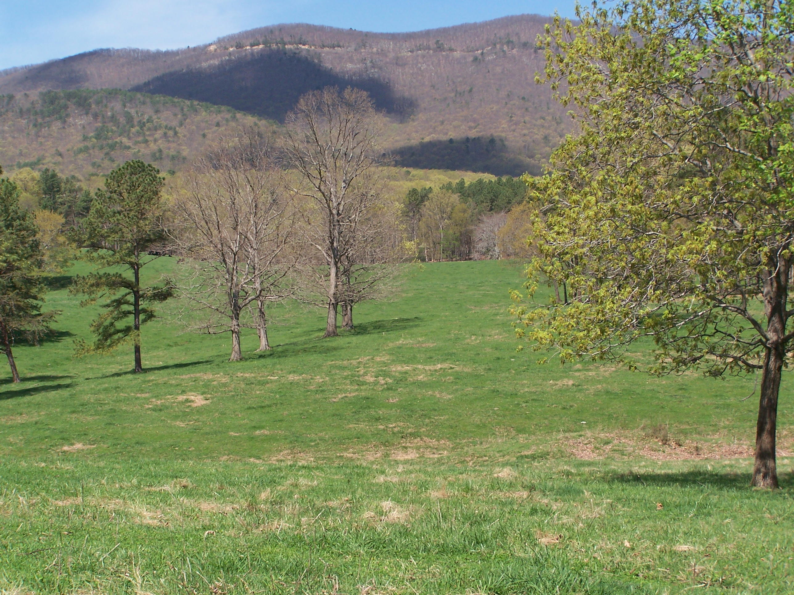 0 Pike Road Blue Ridge, VA 24064 - Photo 28 of 37 a view of an outdoor space and a yard