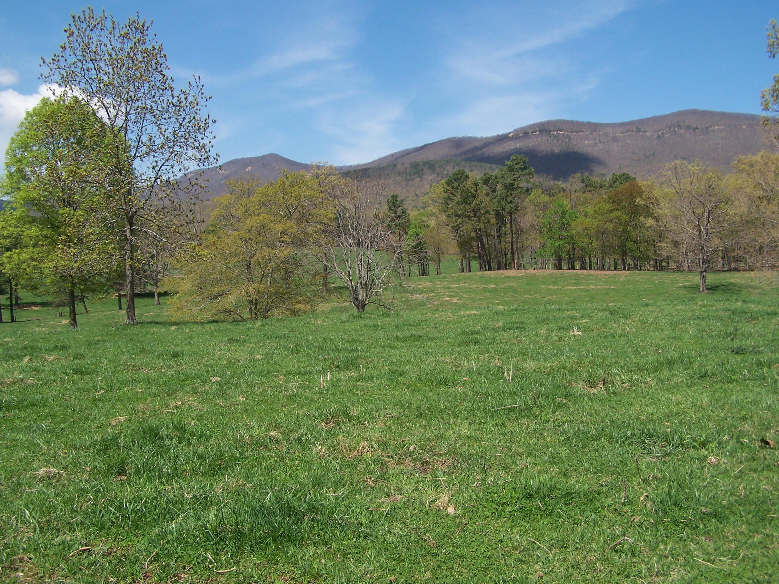 0 Pike Road Blue Ridge, VA 24064 - Photo 29 of 37 a view of an lush green mountain