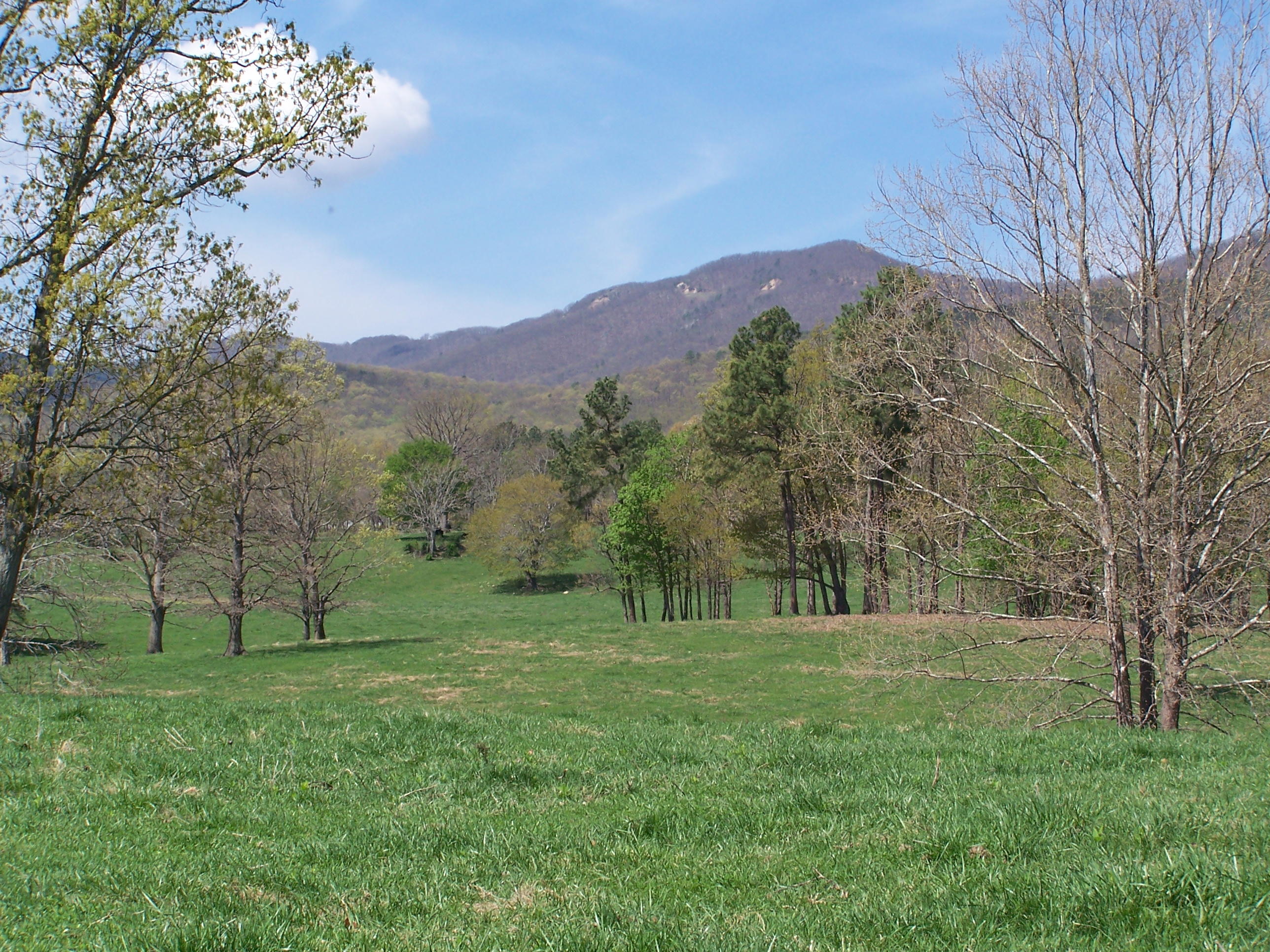 0 Pike Road Blue Ridge, VA 24064 - Photo 3 of 37 a view of outdoor space with mountain view