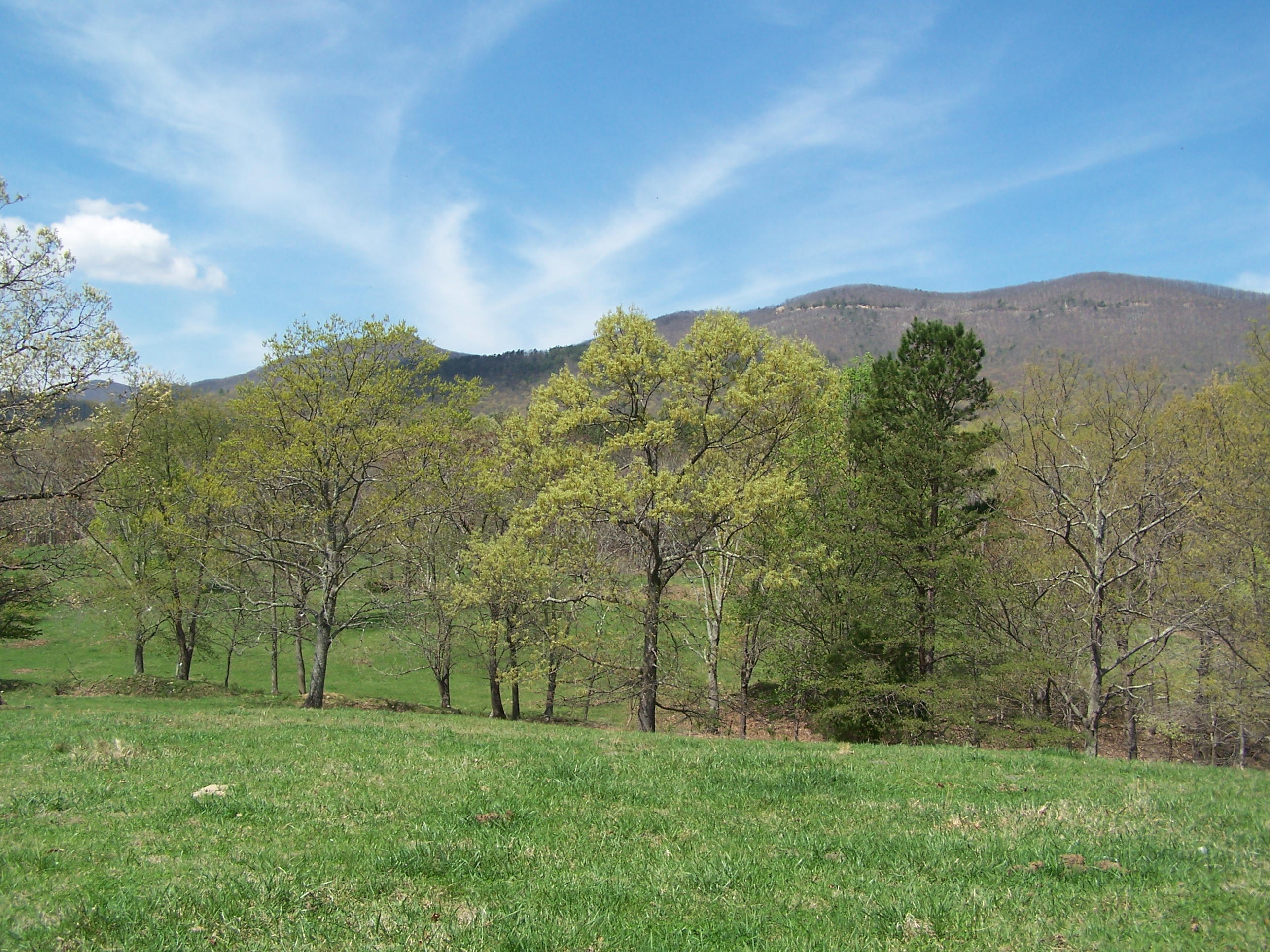 0 Pike Road Blue Ridge, VA 24064 - Photo 34 of 37 a view of a grassy field with trees in the background