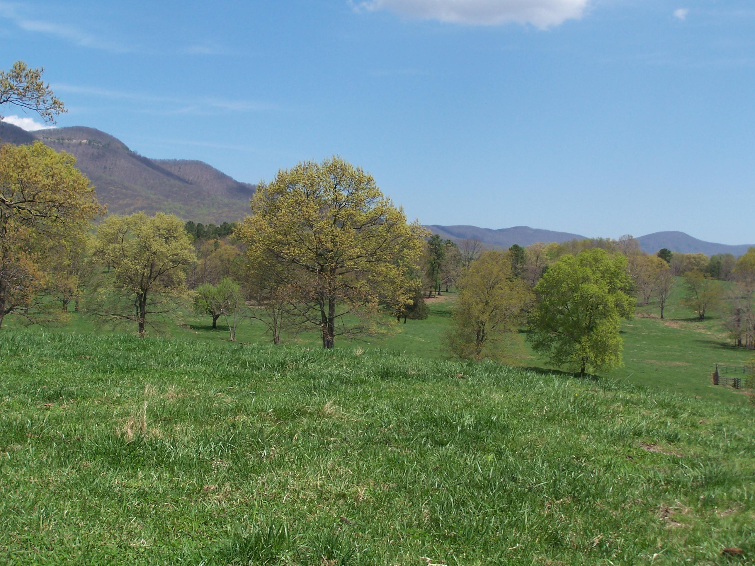 0 Pike Road Blue Ridge, VA 24064 - Photo 37 of 37 a view of a lush green hillside and a houses