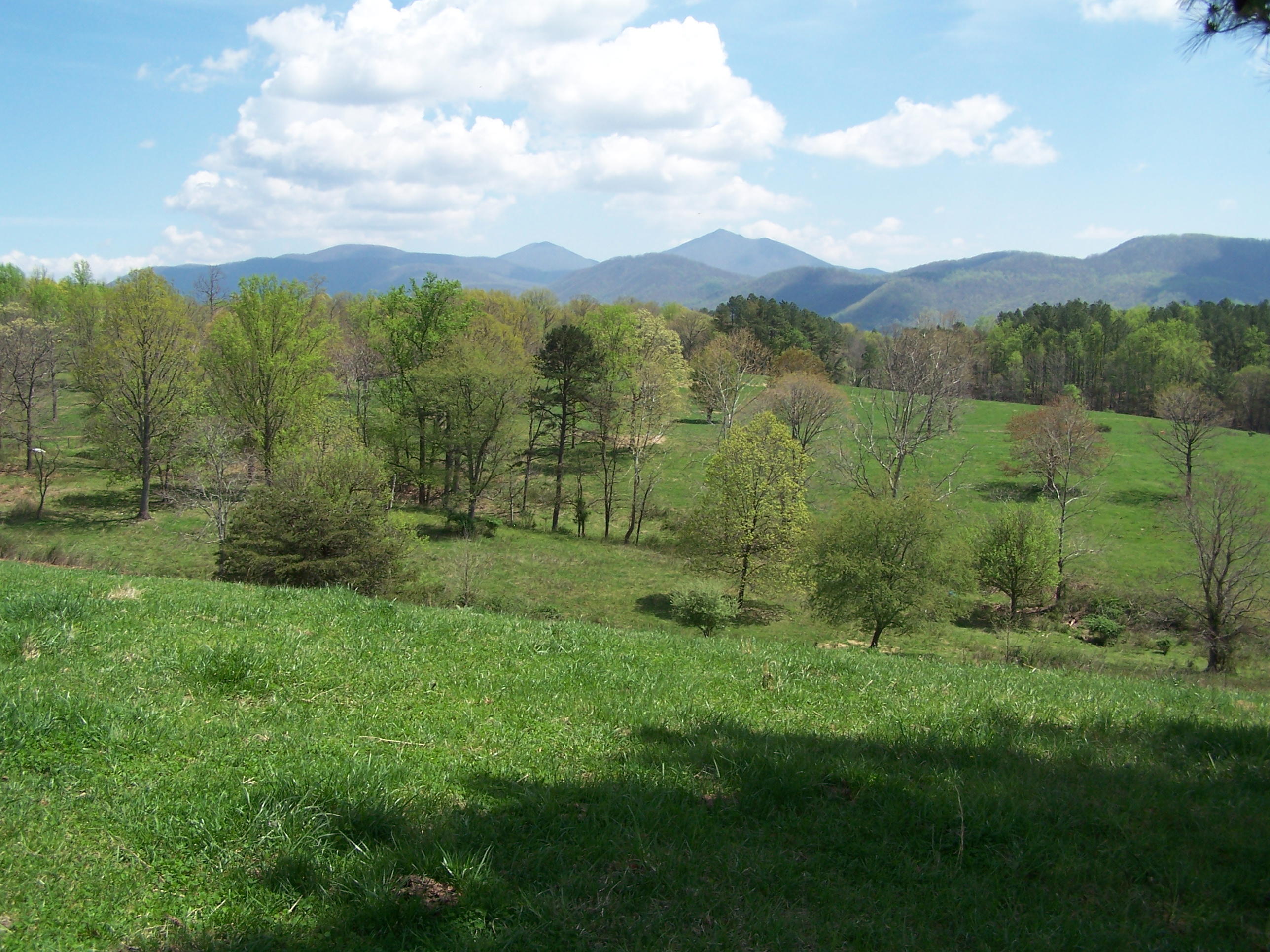 0 Pike Road Blue Ridge, VA 24064 - Photo 4 of 37