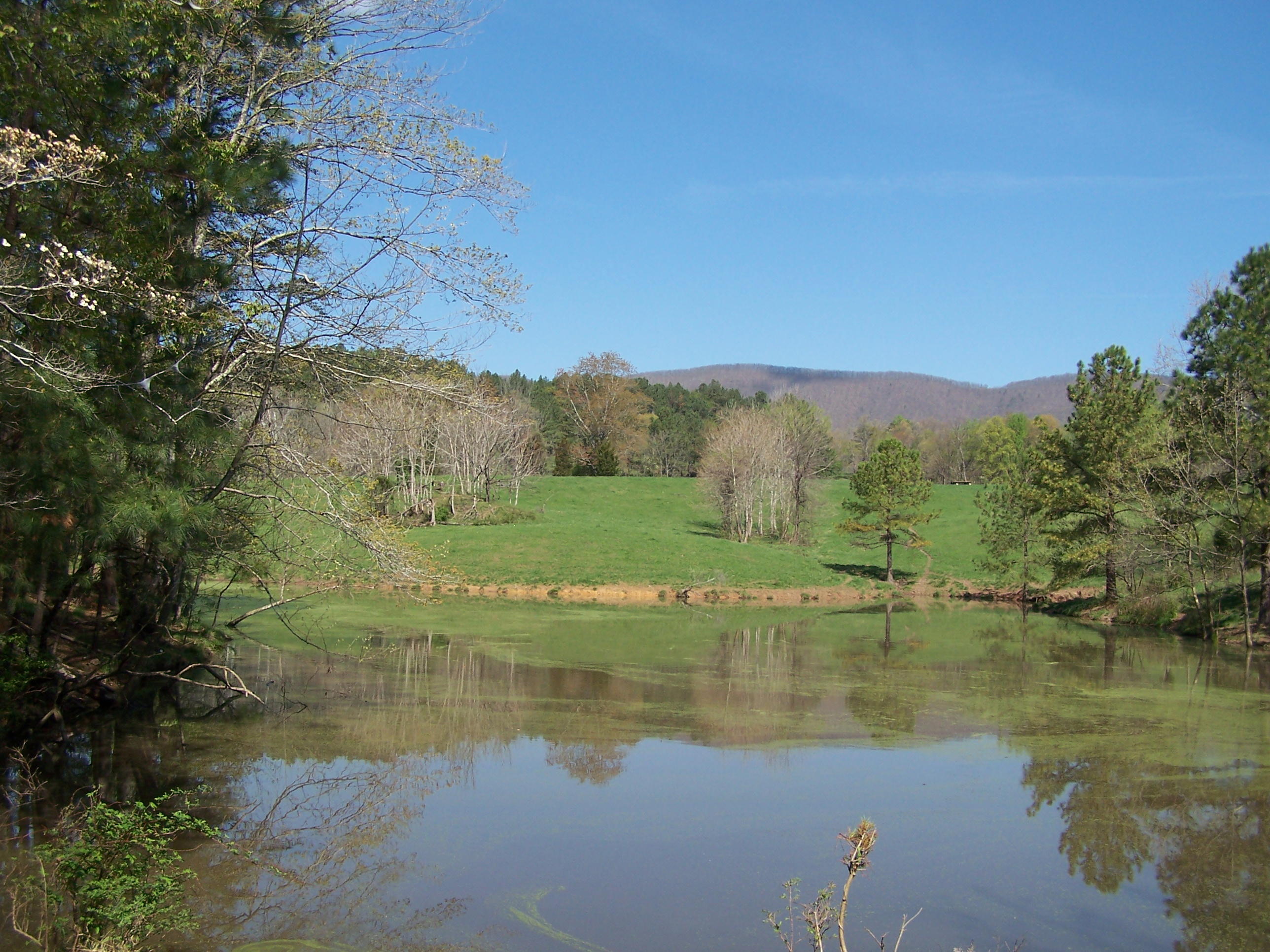 0 Pike Road Blue Ridge, VA 24064 - Photo 5 of 37 a view of lake with mountain