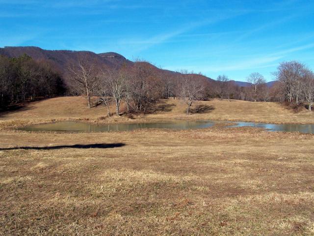 0 Pike Road Blue Ridge, VA 24064 - Photo 7 of 37 a view of lake view and mountain
