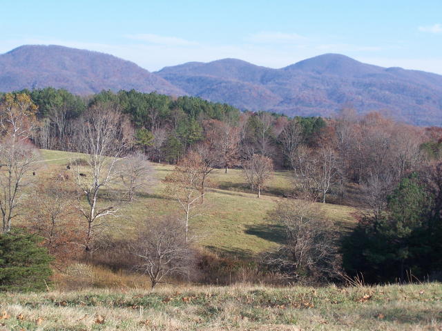 0 Pike Road Blue Ridge, VA 24064 - Photo 8 of 37 a view of a dry top with trees in the background