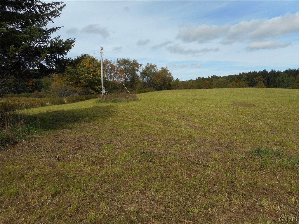 0 Cone Road Boonville, NY 13309 - Photo 1 of 1 Gallery Image 1