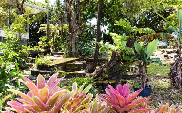 $724,900 | 107 Kaikuono Street, Hilo, HI 96720