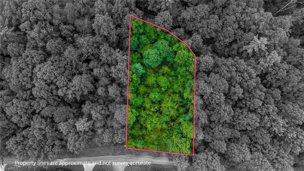 0 Rocky Point Road Wilkesboro, NC 28697 - Photo 16 of 16 Gallery Image 16