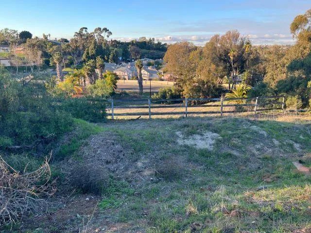 a view of a park with large trees