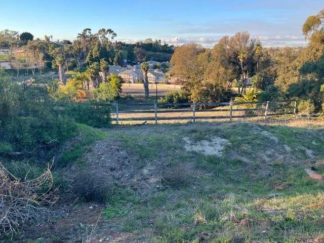 a view of a park with large trees
