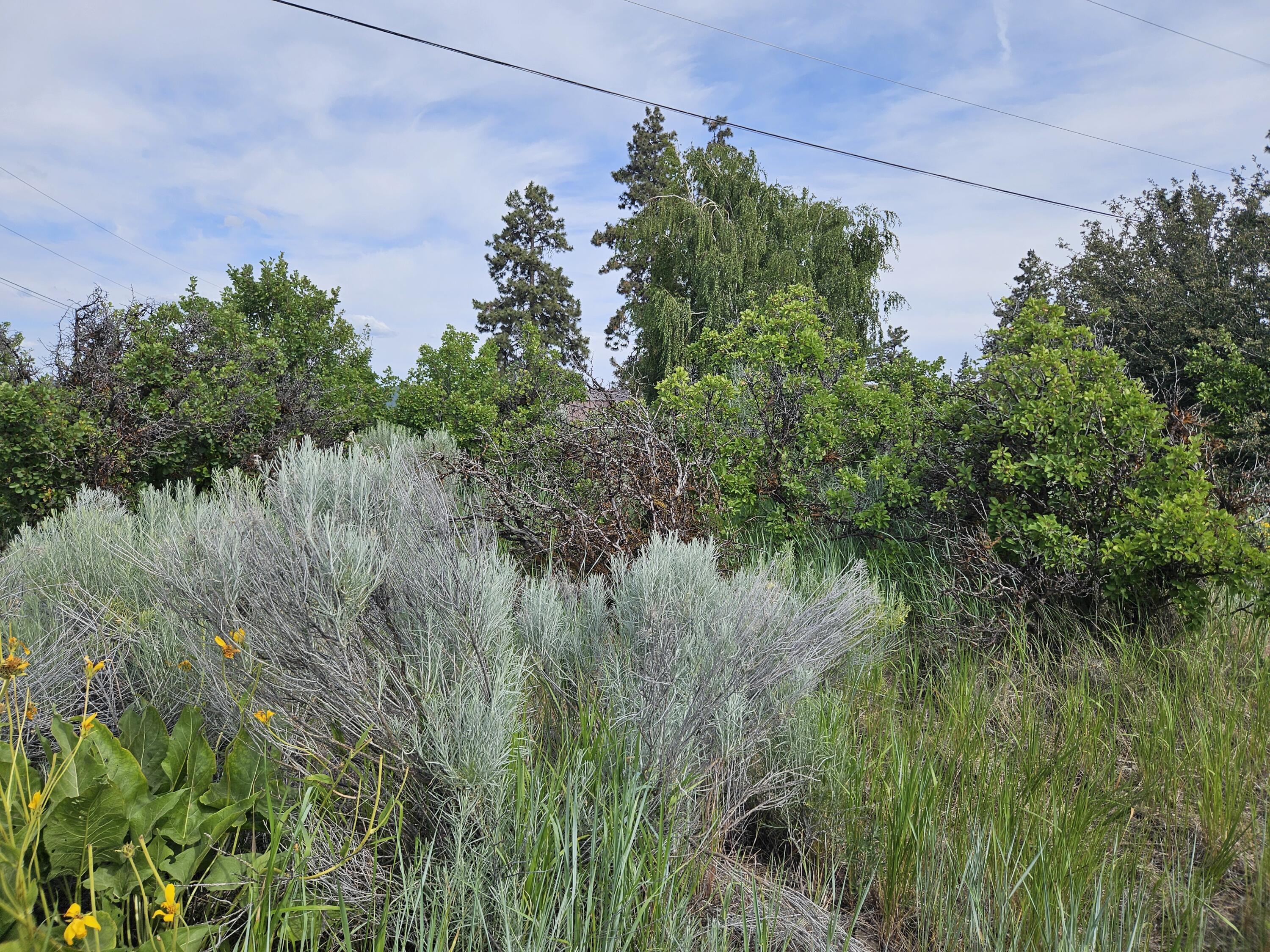 0 Pleasant View Road, Unit LOT 37 Chiloquin, OR 97624 - Photo 8 of 15