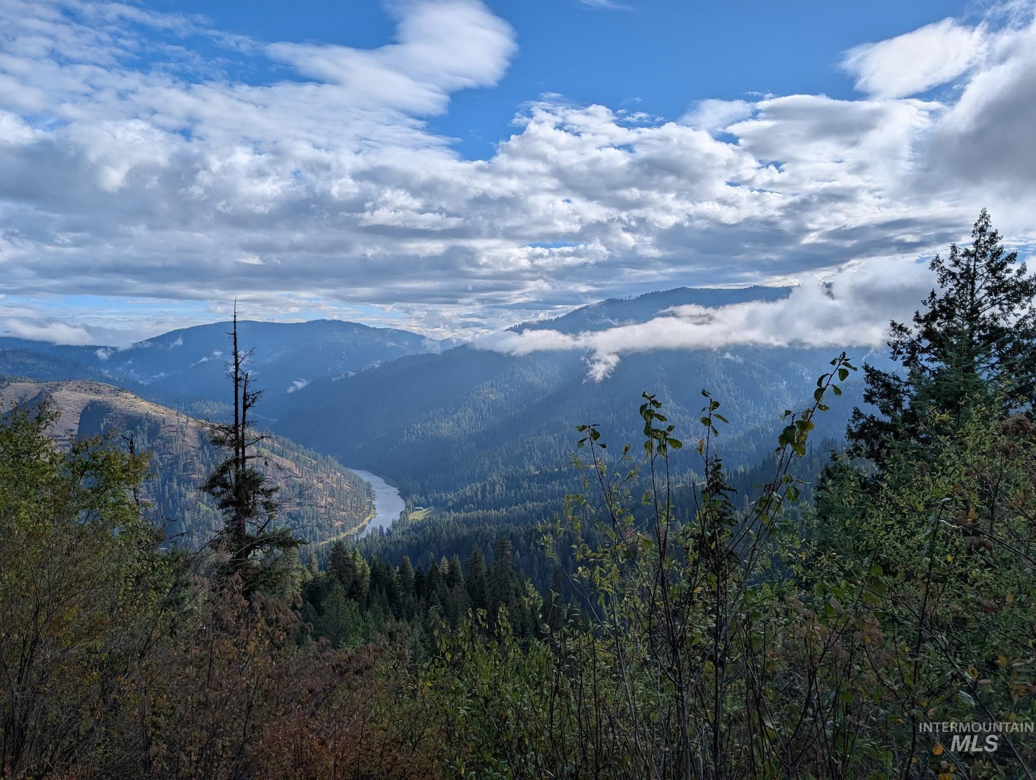 View above the timber looking down on the Middlefork of the Clearwater River.