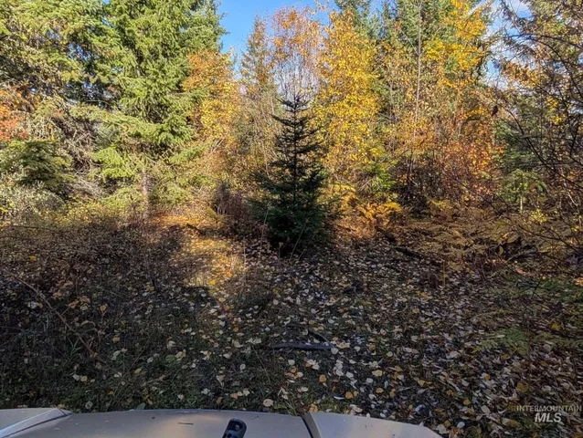 $259,000 | 0 Bear Lane, Kooskia, ID 83539