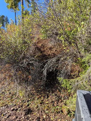 $259,000 | 0 Bear Lane, Kooskia, ID 83539