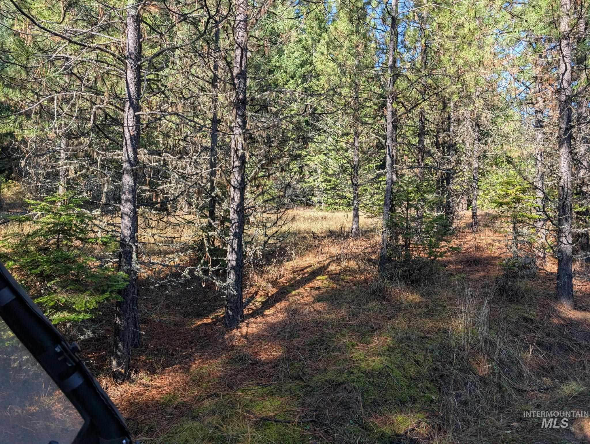 0 Bear Lane Kooskia, ID 83539 - Photo 3 of 17 View of local wilderness