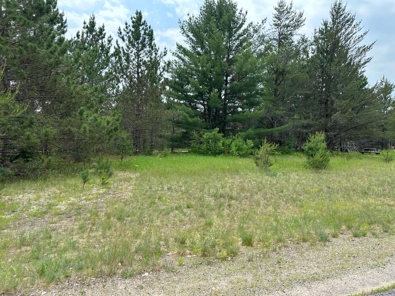 Lot 68 Lake Road Rhinelander, WI 54501 - Photo 9 of 10 Gallery Image 9