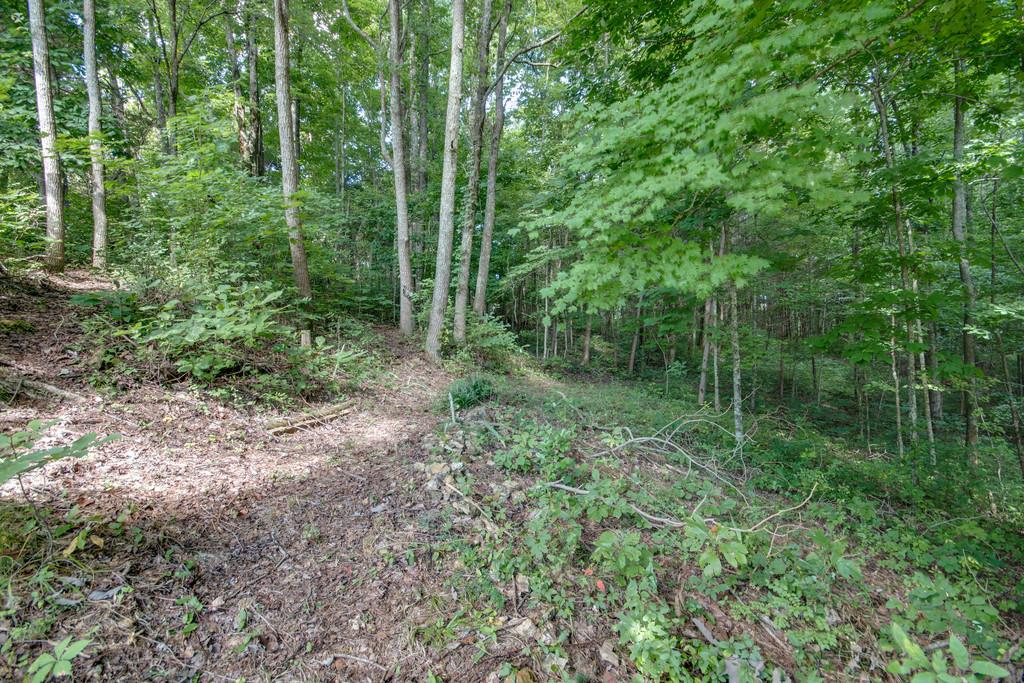 150 Jake Branch Road Beechgrove, TN 37018 - Photo 30 of 30 Gallery Image 30