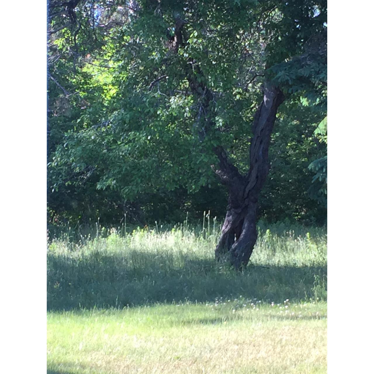 110 Jacksonville Road East Machias, ME 04630 - Photo 3 of 23 04