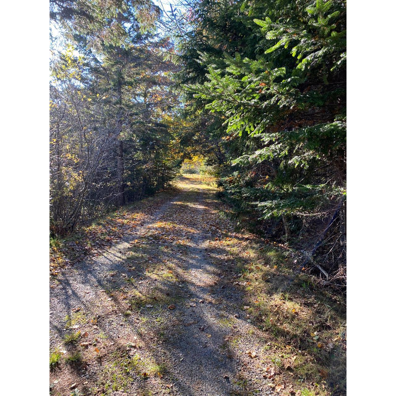 110 Jacksonville Road East Machias, ME 04630 - Photo 5 of 23 08