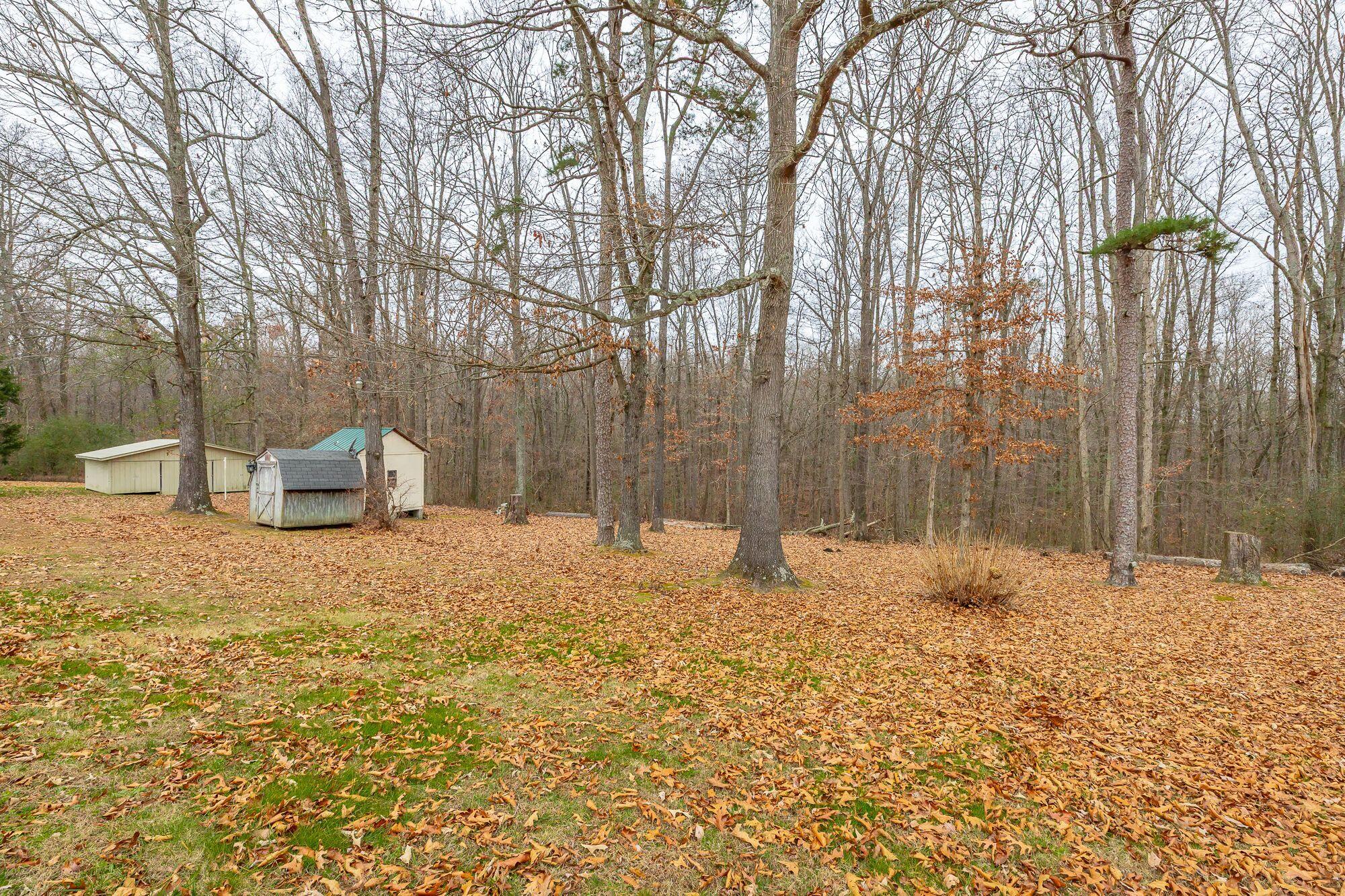 4495 Highway 73 Bryant, AL 35958 - Photo 34 of 40 sheds