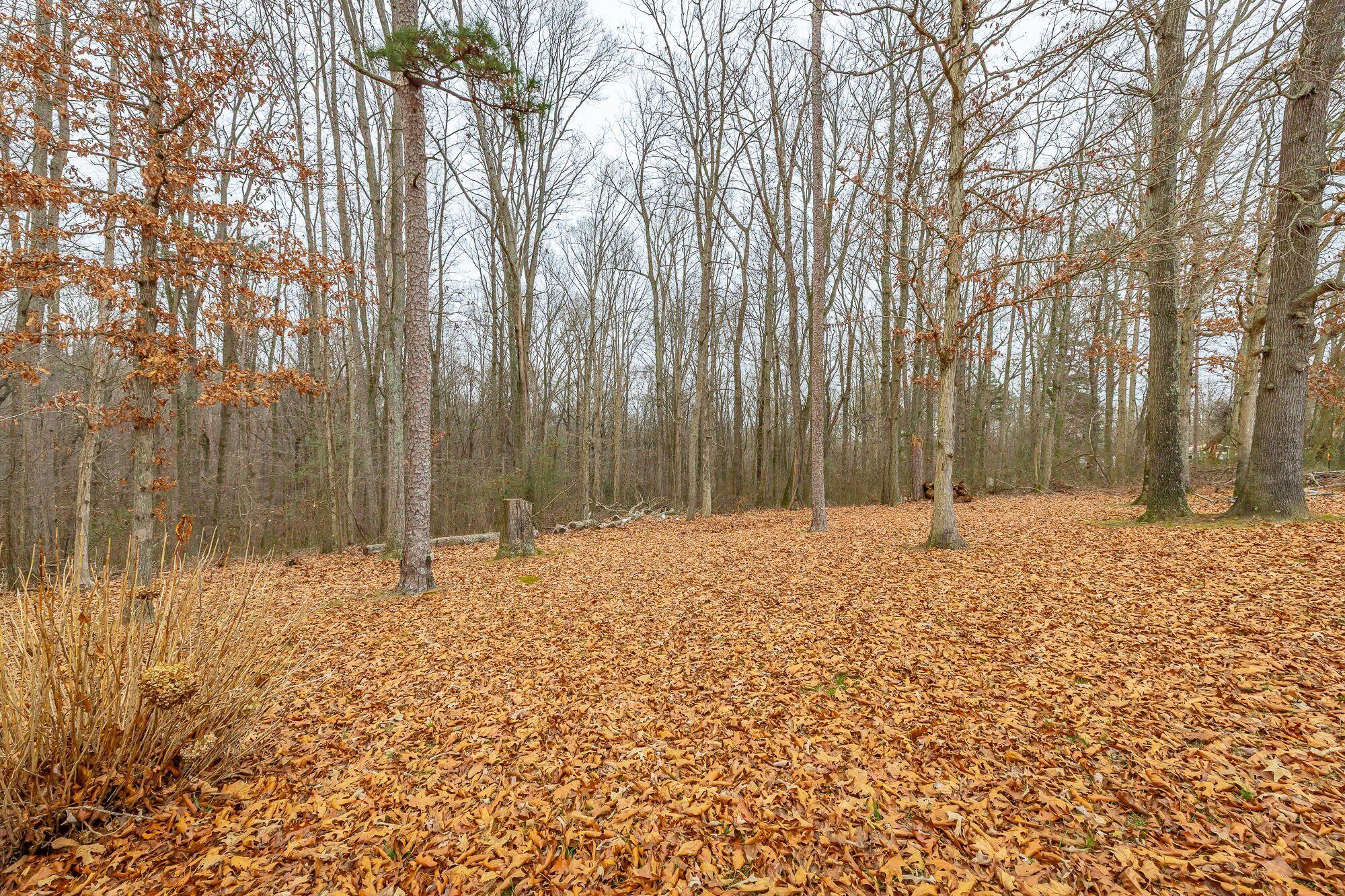 4495 Highway 73 Bryant, AL 35958 - Photo 36 of 40 2q5wCb9k