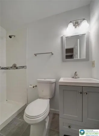 a bathroom with a sink a toilet and mirror