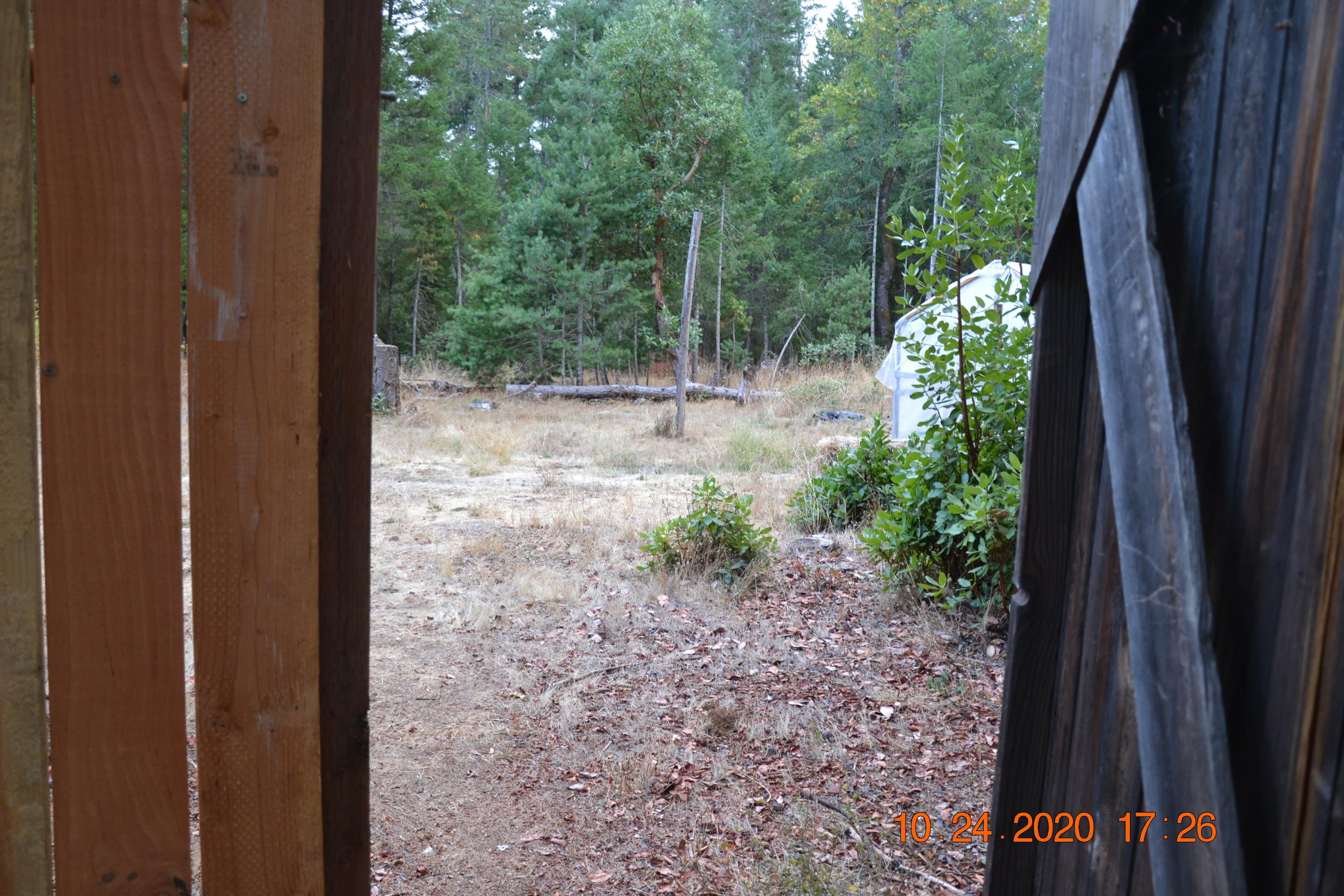 15567 Water Gap Road Williams, OR 97544 - Photo 24 of 36 DSC_0007