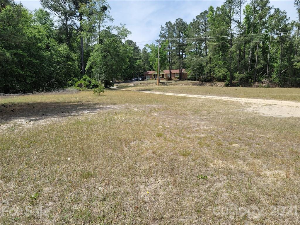 1676 Old Wire Road West Bennettsville, SC 29512 - Photo 8 of 9 Gallery Image 8