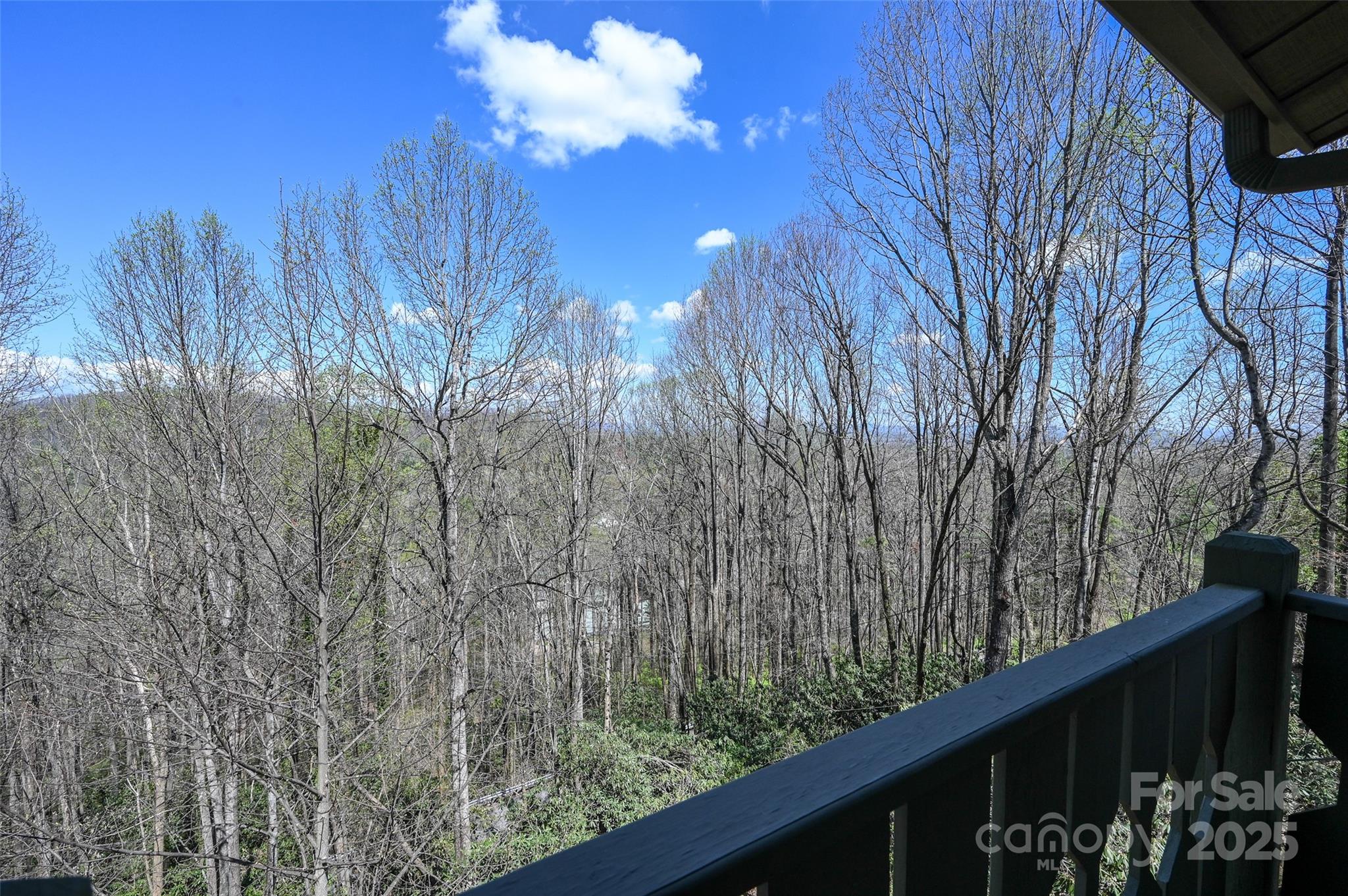 2020 Azalea Ridge Road Laurel Park, NC 28739 - Photo 34 of 42 Gallery Image 34