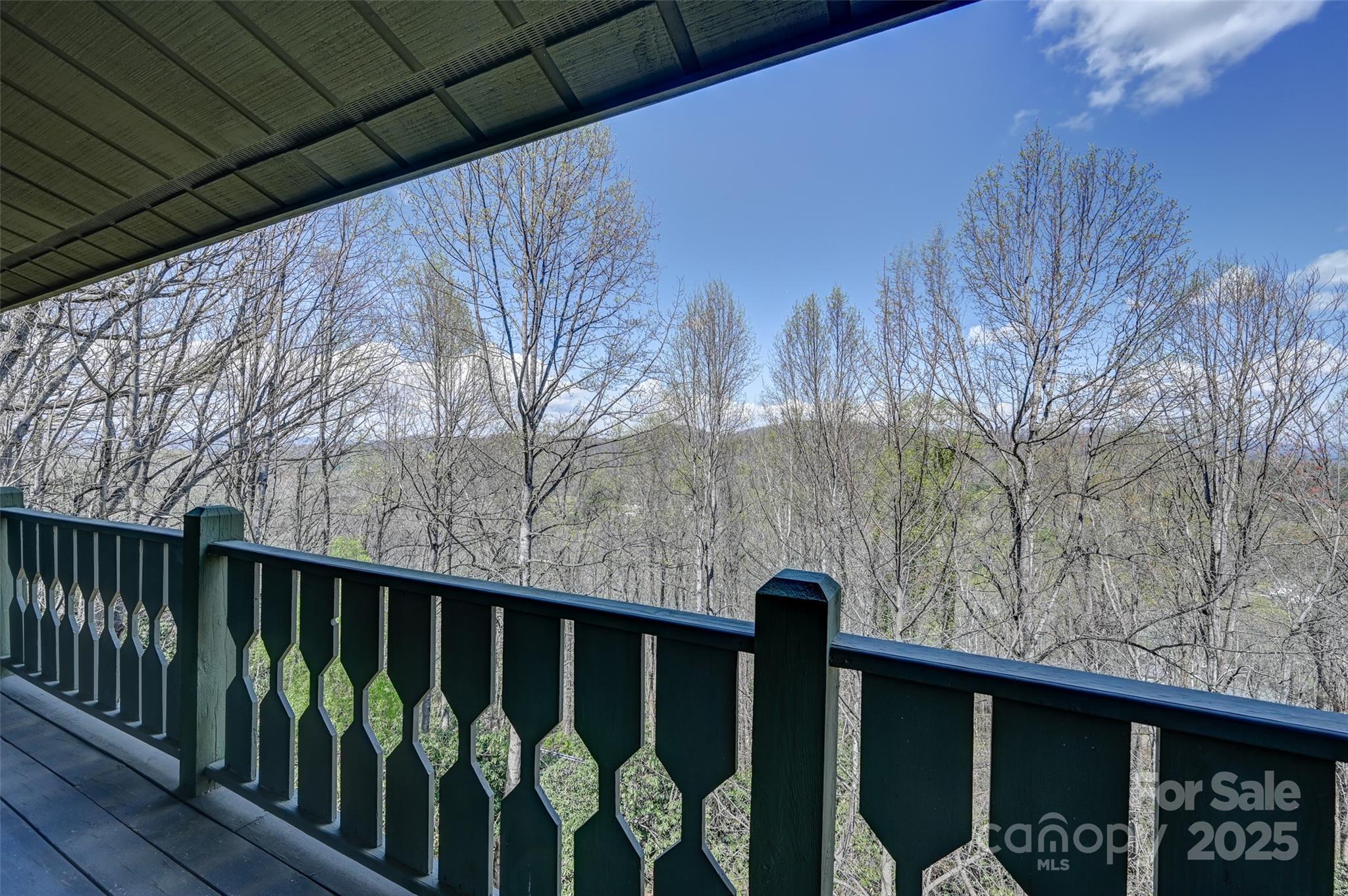 2020 Azalea Ridge Road Laurel Park, NC 28739 - Photo 35 of 42 Gallery Image 35