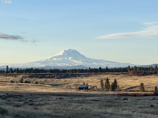 a view of a lake with houses in the background