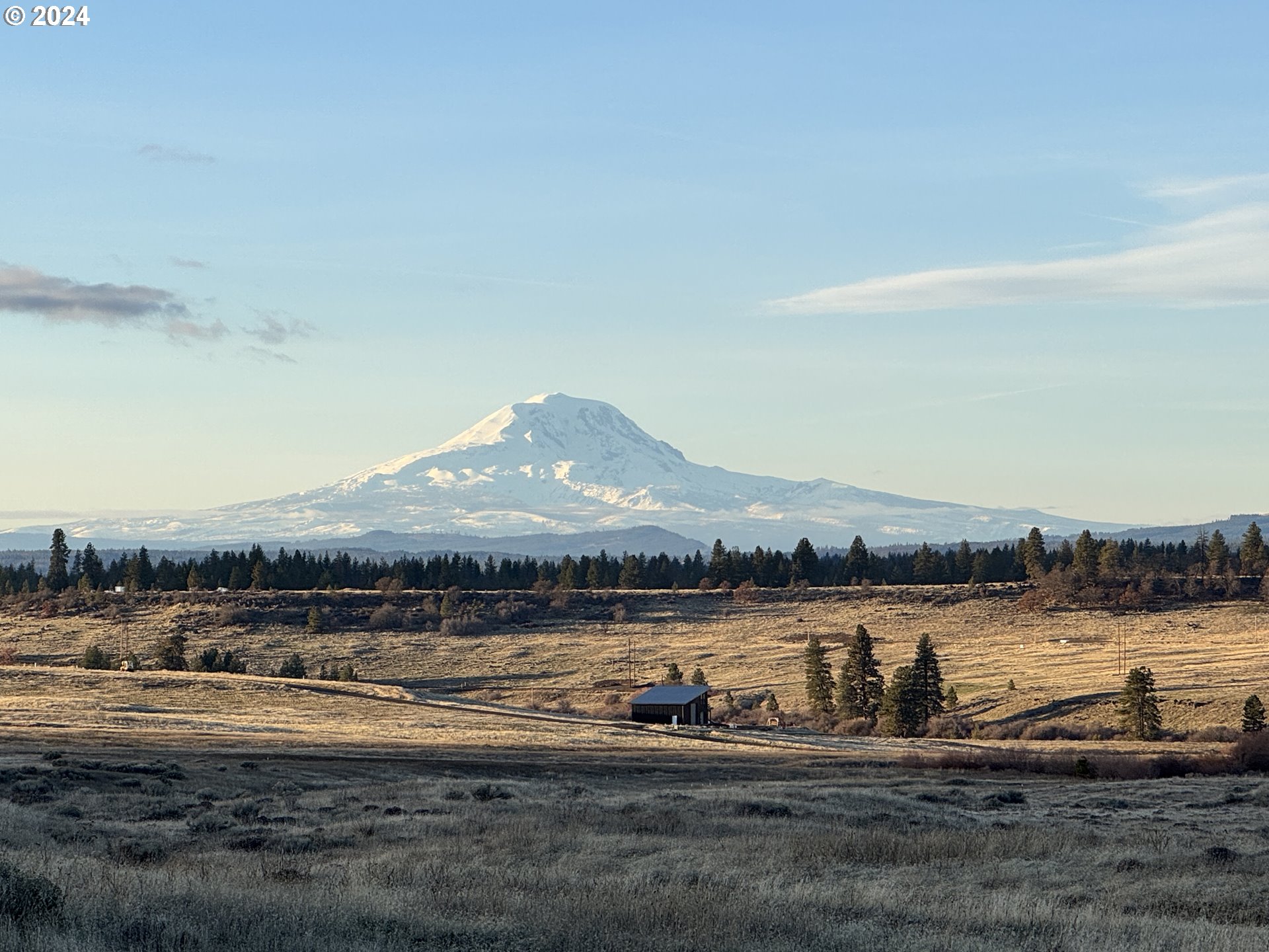 a view of a lake with houses in the background