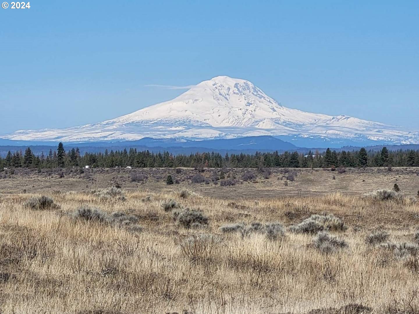 Lipo Centerville, WA 98613 - Photo 2 of 12 a view of a lake in middle of the field